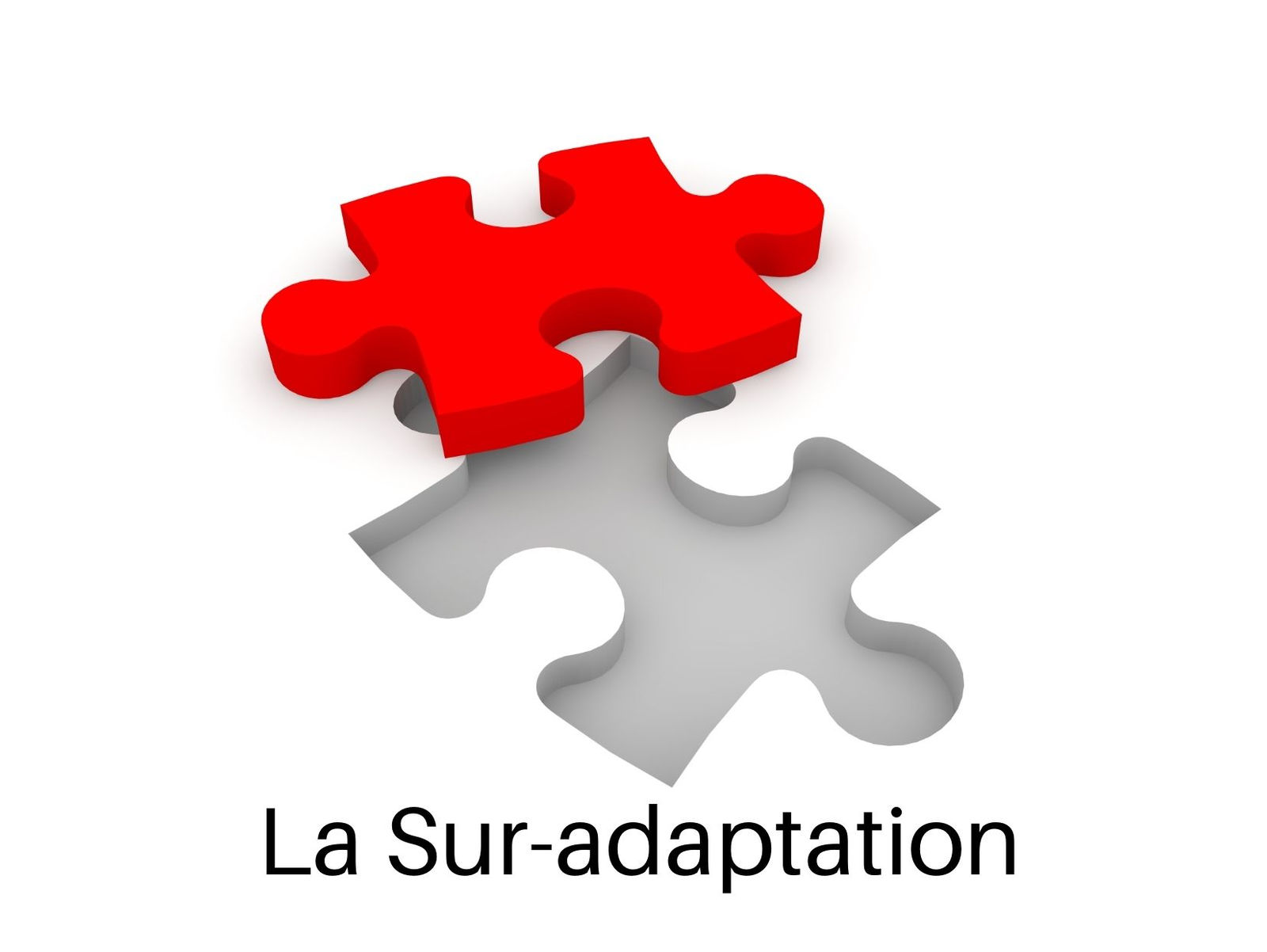 LA SUR-ADAPTATION